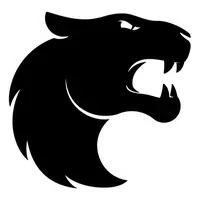 FURIA Esports вышла в плей-офф BLAST.tv Austin Major 2025, победив Virtus.pro