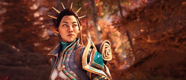 «BioWare обожглась на Dragon Age II»: Ветеран Dragon Age Дэвид Гейдер поделился мнением о романтических отношениях в RPG